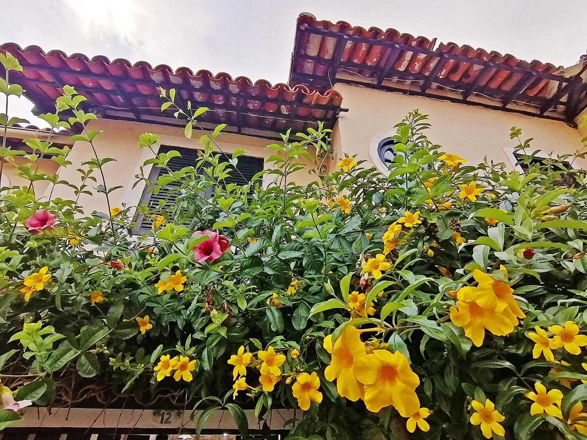 Casa A 500M Da Rua Das Pedras Em Lindo Condominio Com Portaria 24H Búzios 外观 照片