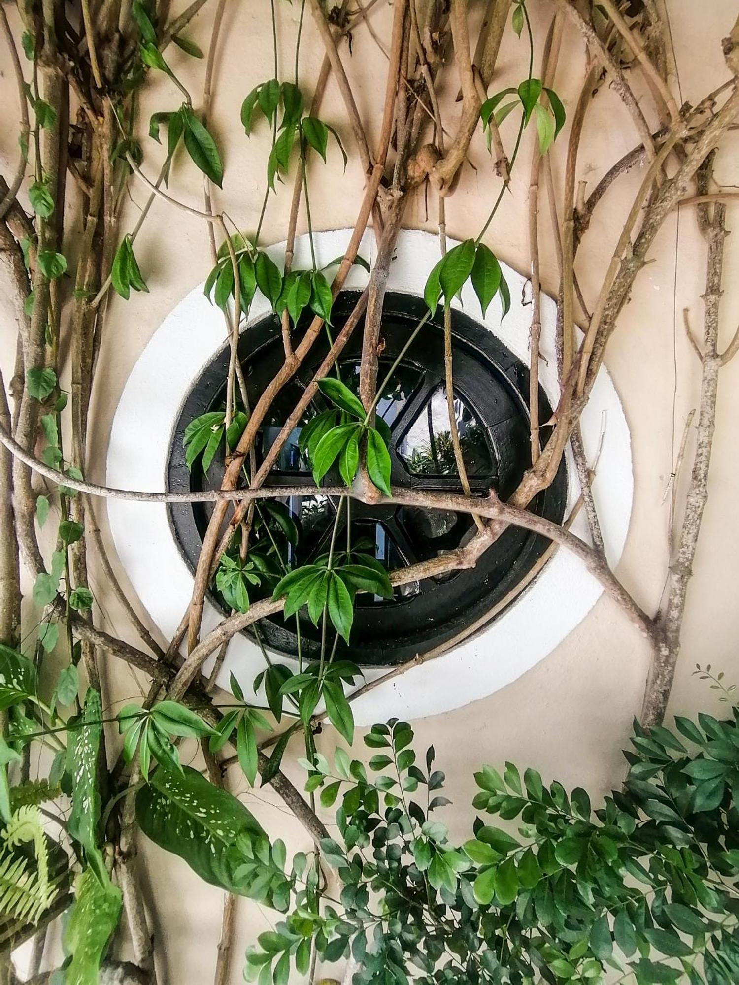 Casa A 500M Da Rua Das Pedras Em Lindo Condominio Com Portaria 24H Búzios 外观 照片